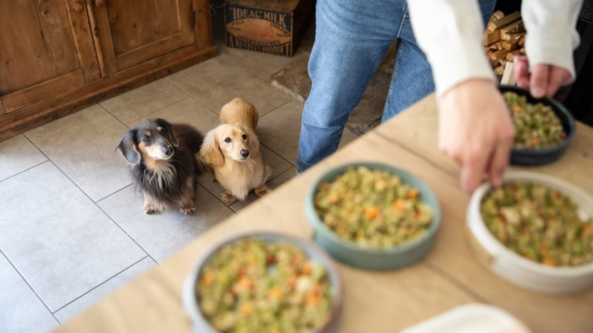 GlobalPETS | UK start-up Different Dog to ramp up production as demand for fresh pet food soars UK start-up Different Dog to ramp up production as demand for fresh pet food soars
