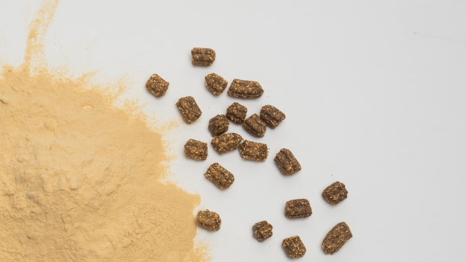 Microbial protein: Naturally boosting palatability and nutrition for treats