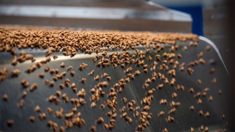 GlobalPETS | How one machine solves pet food sorting for manufacturers Optimum Sorting product preview