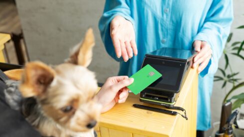 Spending under pressure: US pet parents trade down on food and vet visits